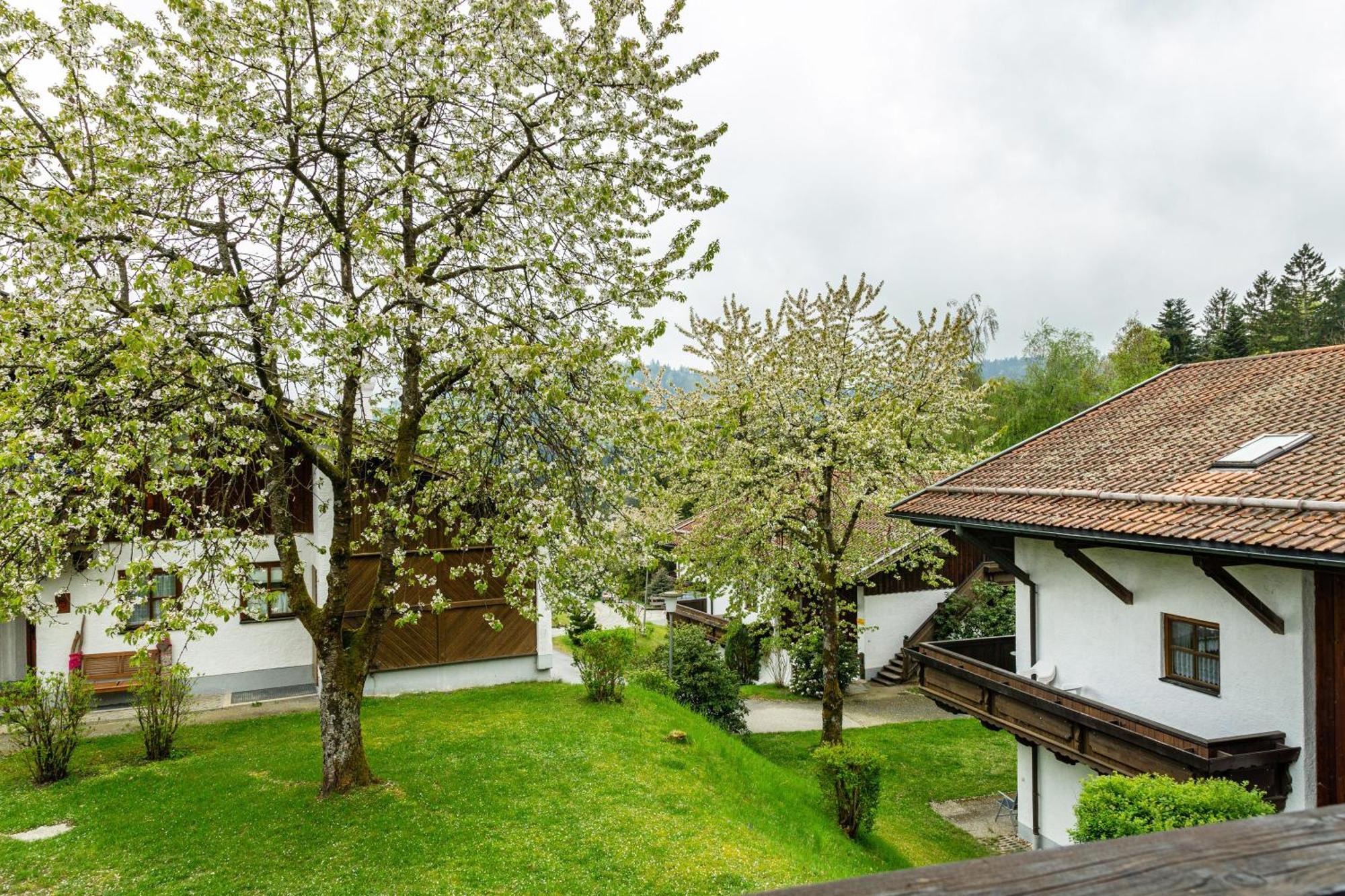 האוצנברג Komfortwohnung Mit Pool Und Sauna מראה חיצוני תמונה